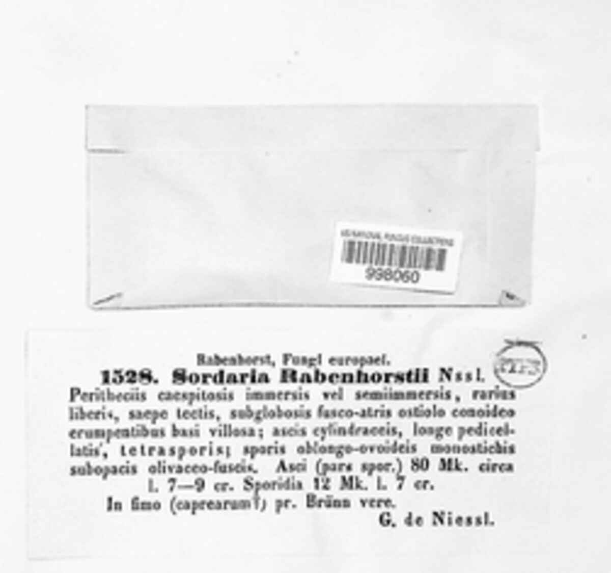 Fimetariella image